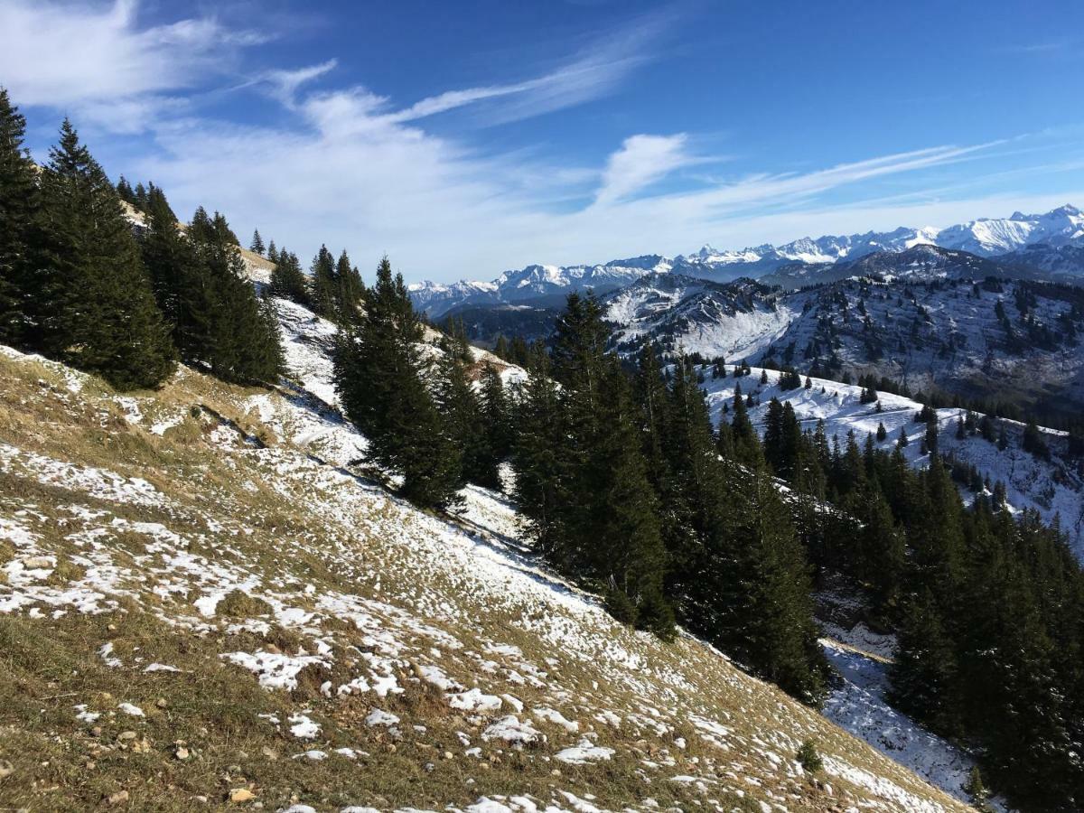 Allgaeu Haus 阿尔高伊的伊斯尼 外观 照片