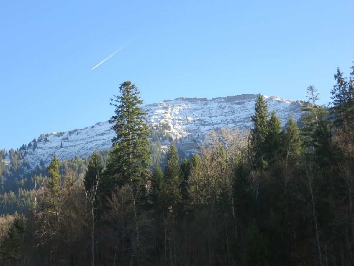 Allgaeu Haus 阿尔高伊的伊斯尼 外观 照片